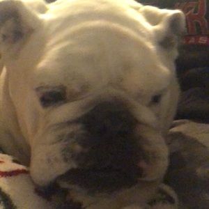 Meet your Posher, Isabella